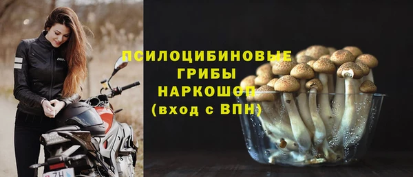 дживик Заволжск