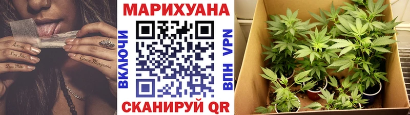 Купить закладки  Дивногорск  Каннабис ГИДРОПОН 